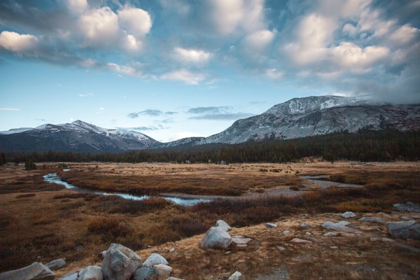 Tuolumne Meadows
